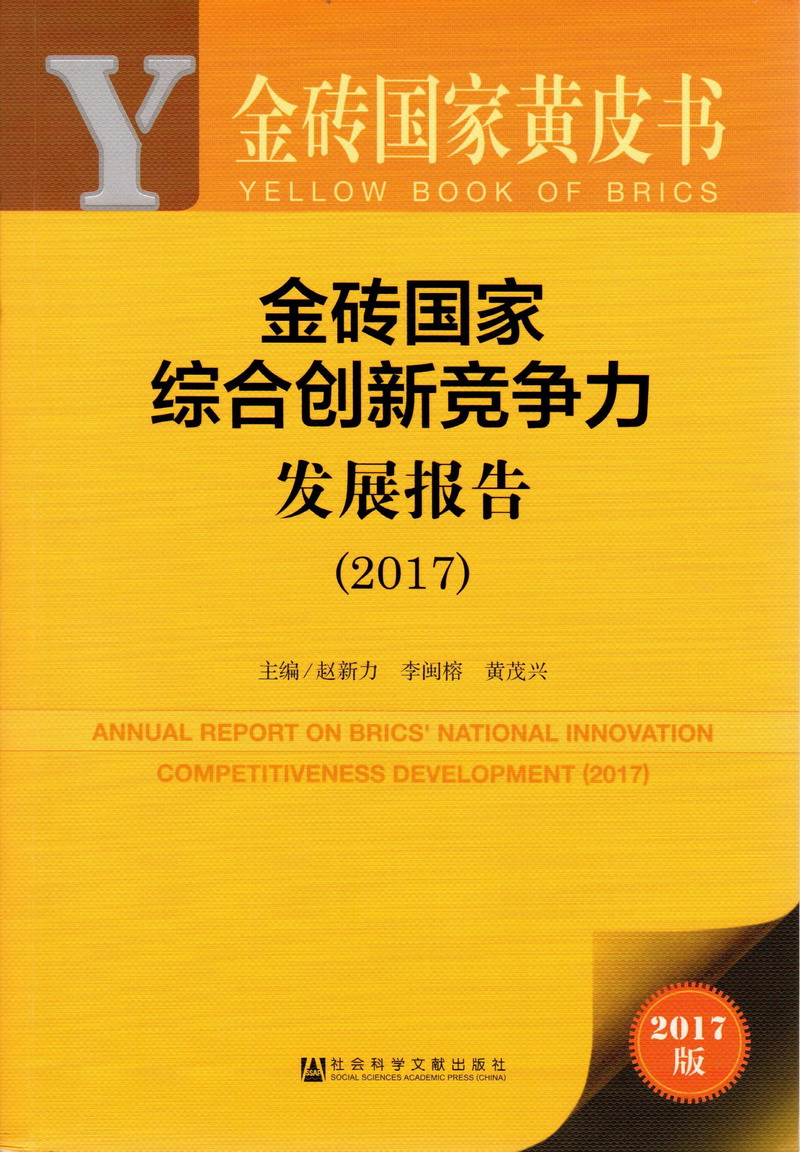 大屄大屌网金砖国家综合创新竞争力发展报告（2017）